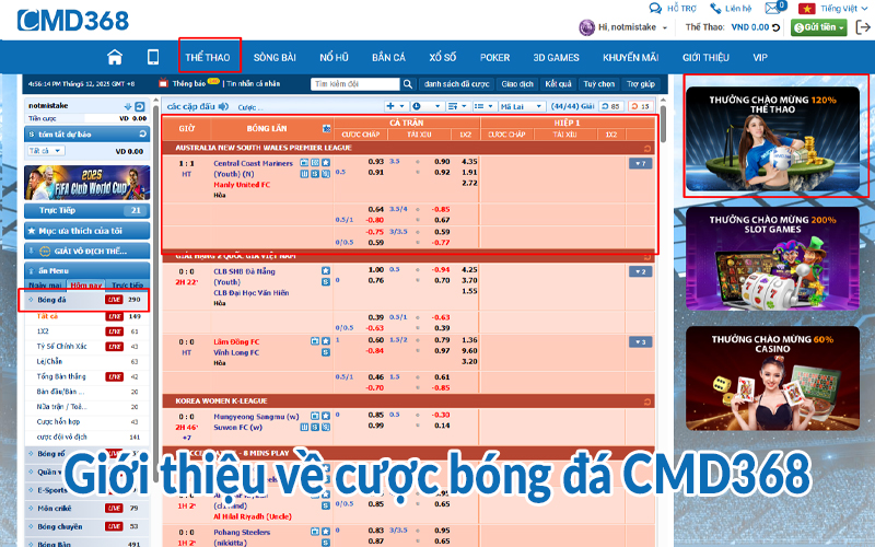 Kinh nghiệm cược bóng đá CMD368: Phát tài nhanh chóng 1 Giới thiệu về cược bóng đá CMD368